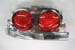 Greenline Motorsports - East Bear LED Tail Lamp